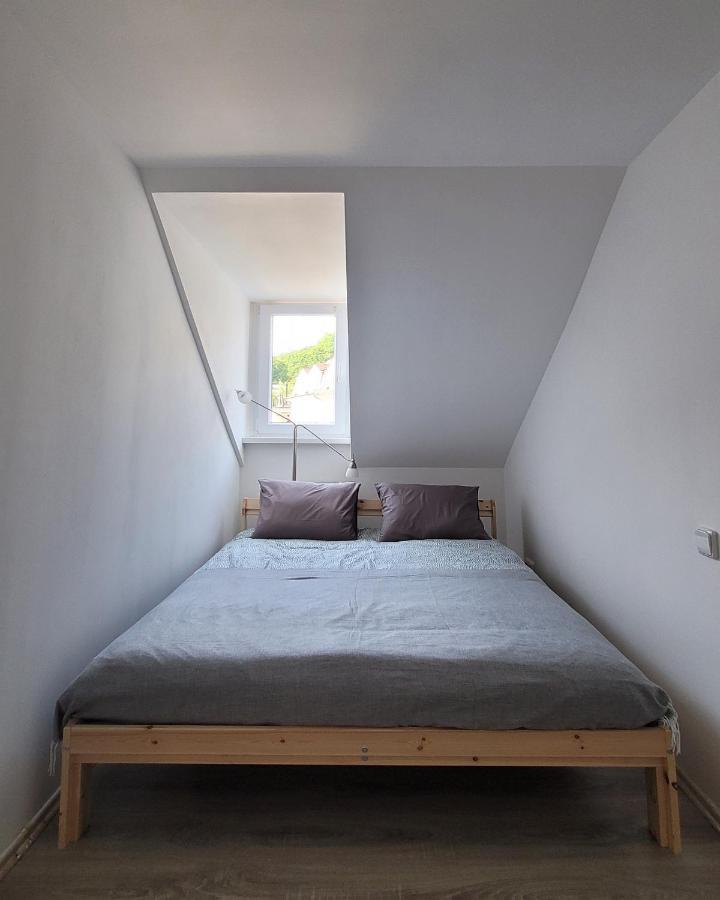 Excellent Apartments Central 3 Min Walk From The Colonnade Karlovy Vary Esterno foto
