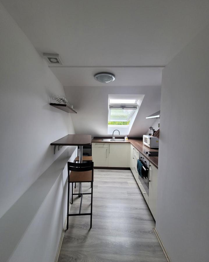 Excellent Apartments Central 3 Min Walk From The Colonnade Karlovy Vary Esterno foto